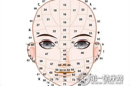 48歲面相|面相看你每一個年齡段的運勢